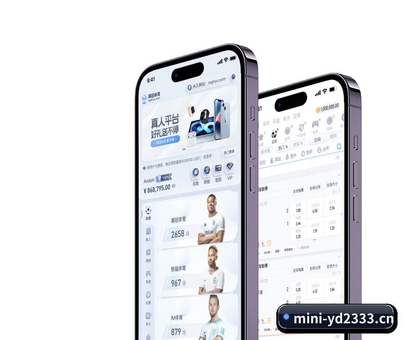 国际化进程